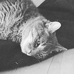 Andrew Rhyne - @arhyne21 - Instagram