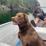 Andrew Ricketts - @andrewricketts6 - Instagram
