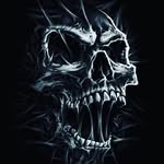 Andrew Ridenour - @ridenourandrew670 - Instagram