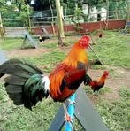 Andrew Robles - Facebook