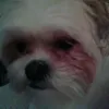 Andrew Beaulieu - @andrewrocks21 - TikTok