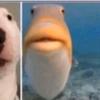 andrew.rocks - @andrew.rocks - TikTok