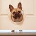 Andrew Rohrbaugh - Facebook