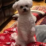 Andrew Ronan - @aronan1472 - Instagram