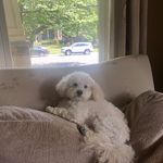Andrew Rosenstein - @andrew.rosenstein.98 - Instagram