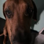 andrew rundle jr - @andrewrundlejr - Instagram