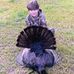 Andrew Runion - Facebook