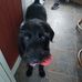 Andy Rushton - Facebook