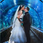 Andrew Ruthman - @andrewruthman - Instagram