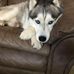 Andrew Rutherford - Facebook