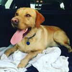 Andrew Ryall - @swish1969 - Instagram