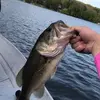 Andrew Saar - @andrew.saar - TikTok