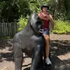 andrewsaar22 - @andrewsaar2287 - TikTok