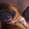 Andrew Saavedra - @andrewsaavedra389 - TikTok
