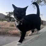 Andrew Saenz - @661.andreww - Instagram