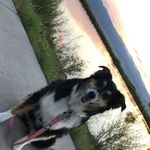 Andrew Sage - @andrew.sage20 - Instagram