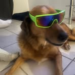 Andrew Sal - Facebook