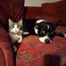 Andrew Saich - Facebook