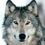 Andrew Salim - @andrew.evil.324 - Instagram