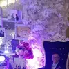 Andrew Salim - @30264771561 - TikTok