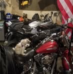 Andrew Richard Salzer - Facebook