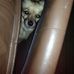 Andrew Sappington - Facebook