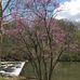 Andrew Sauter - Facebook