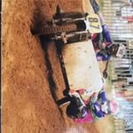 Andrew Scarr - @scarrandrew - Instagram