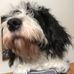 Andy Scarr - Facebook