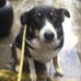 Andy Scarr - Facebook