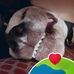 Andrew Schauf - Facebook