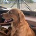 Andrew Schaper - Facebook