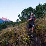 Andrew Schaper - @andrewschaper - Instagram
