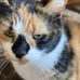 Andrew Schattner - Facebook