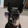Andrew Schaub - @andrewschaub - TikTok