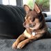Andrew Scheg - Facebook