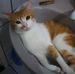 Andrew Scheidt - Facebook
