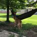 Andrew W. Scheidt - Facebook