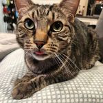Andrew Schenk - @drewboy.92 - Instagram