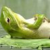 Andy Scheunemann - Facebook