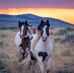 Andrew Schlabach - Facebook