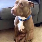 Andrew Schlechty - @andrewschlechty - Instagram