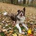 Andrew Schleef - Facebook