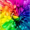 Andrew Schmid - @andrewschmid0 - TikTok