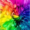 Andrew Schmid - @andrewschmid - TikTok