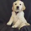 andreschnakenberg - @andreschnakenberg - TikTok