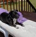 Andrew Schmall - Facebook