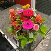 Andrew Schnurlock - @andrew.schnurlock - TikTok