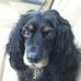 Andrew Schoon - Facebook