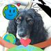 Andrew Schoon - Facebook